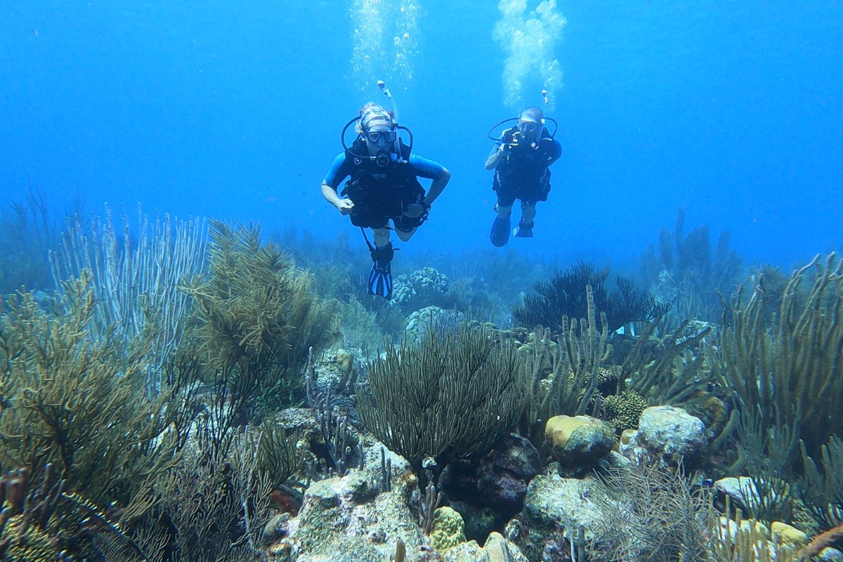 Bezoek Oasis Guesthouse Bonaire en Scuba School Bonaire op Duikvaker