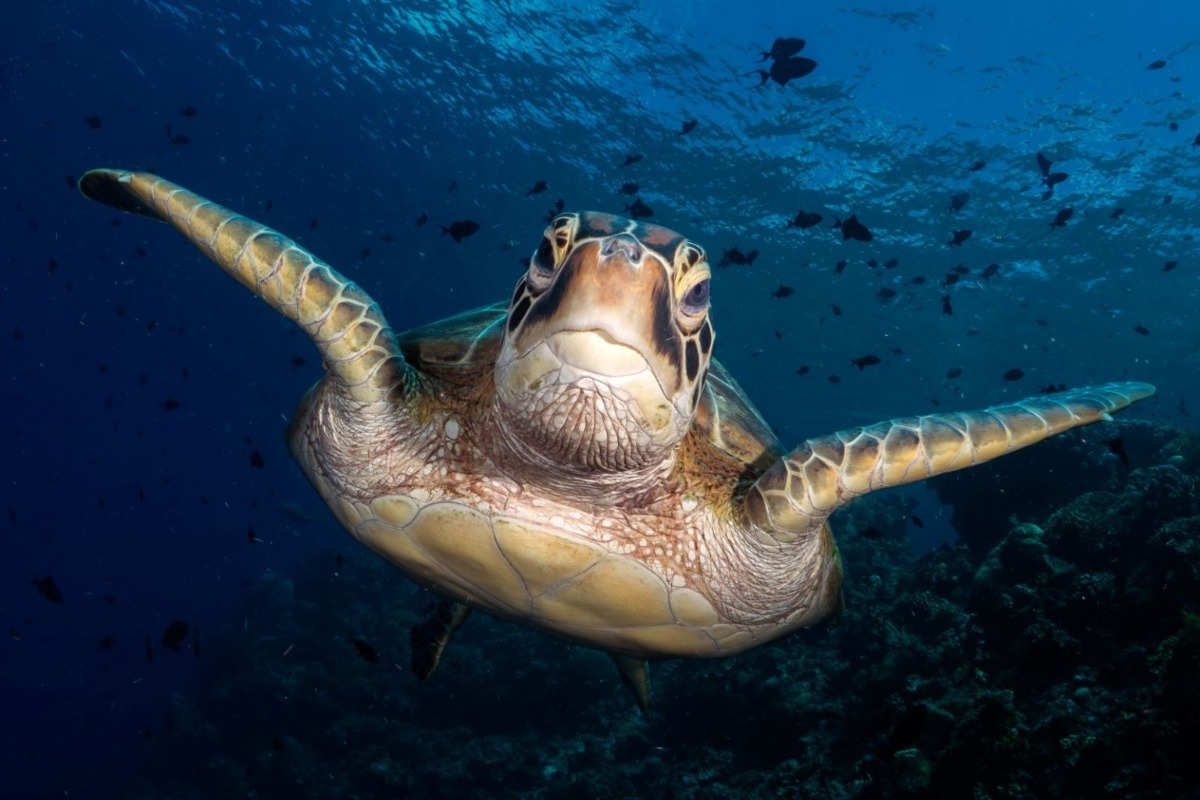 Ruim 120 foto's voor expo binnen!