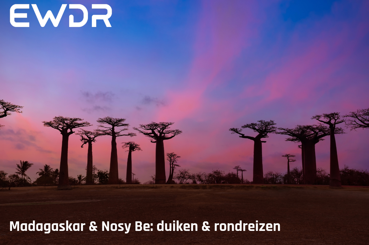 Madagaskar: duiken in Nosy Be en rondreizen