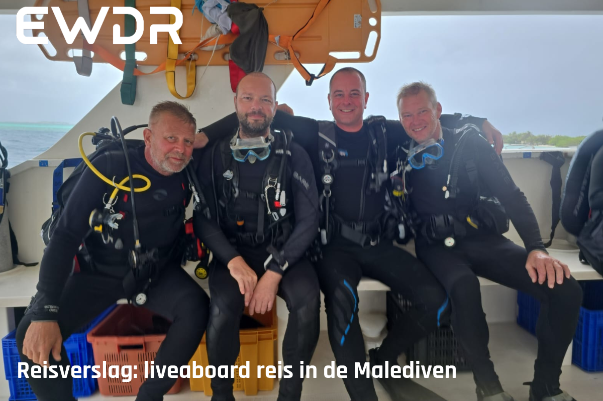 Reisverslag: groepsreis naar de Malediven aan boord van de Nautilus II