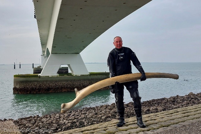 Bijzondere Vondst: Walviskaak van de Zeelandbrug op Duikvaker 2026