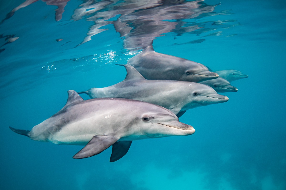 Expo met topfoto's | Welke foto mag met jou mee naar huis?