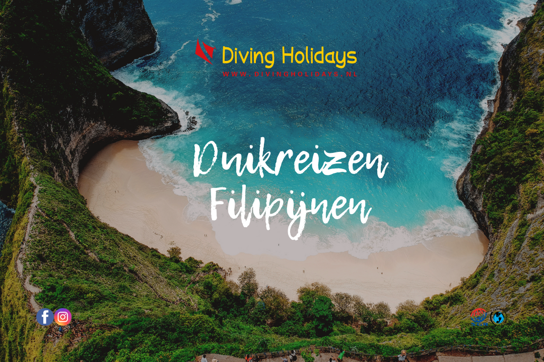 Eilandhoppen in de Filipijnen met Diving Holidays