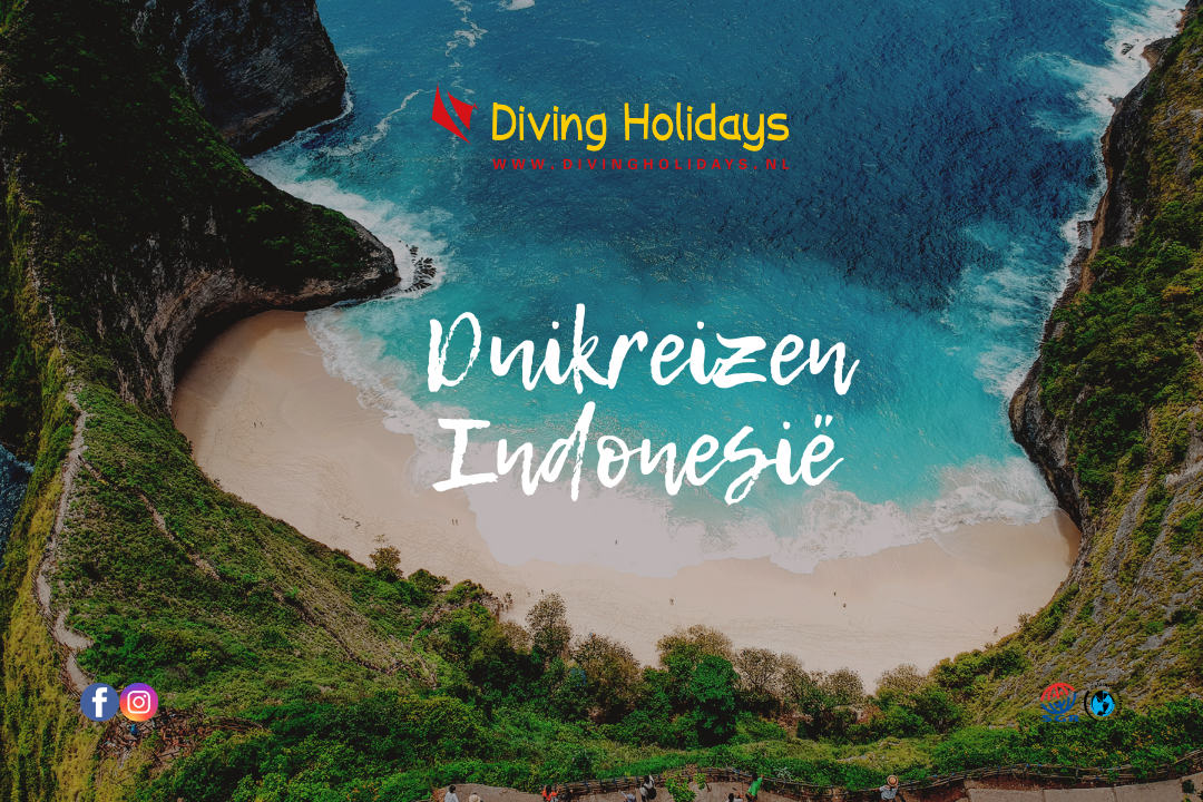 Ongekende biodiversiteit in Indonesië met Diving Holidays