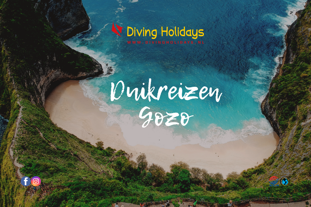 Spectaculaire kantduiken bij Gozo met Diving Holidays