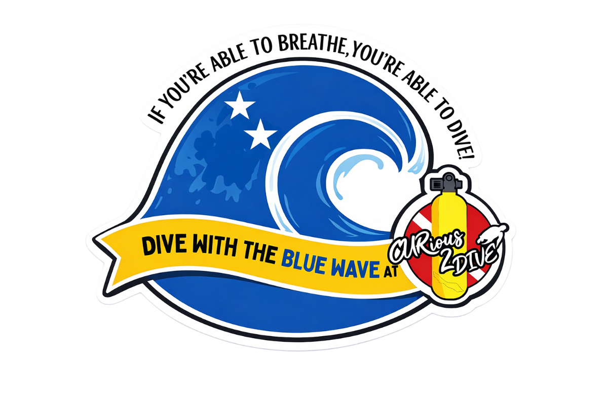 Ontdek Curaçao onder water met Curious2Dive