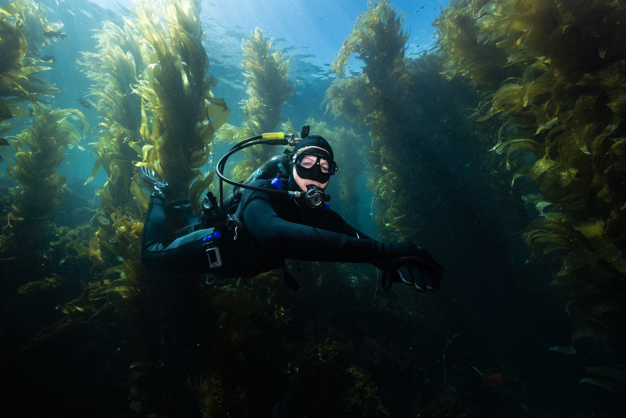 Avelo Explained: Lighter Gear, Safer Diving, Real-Time Insight