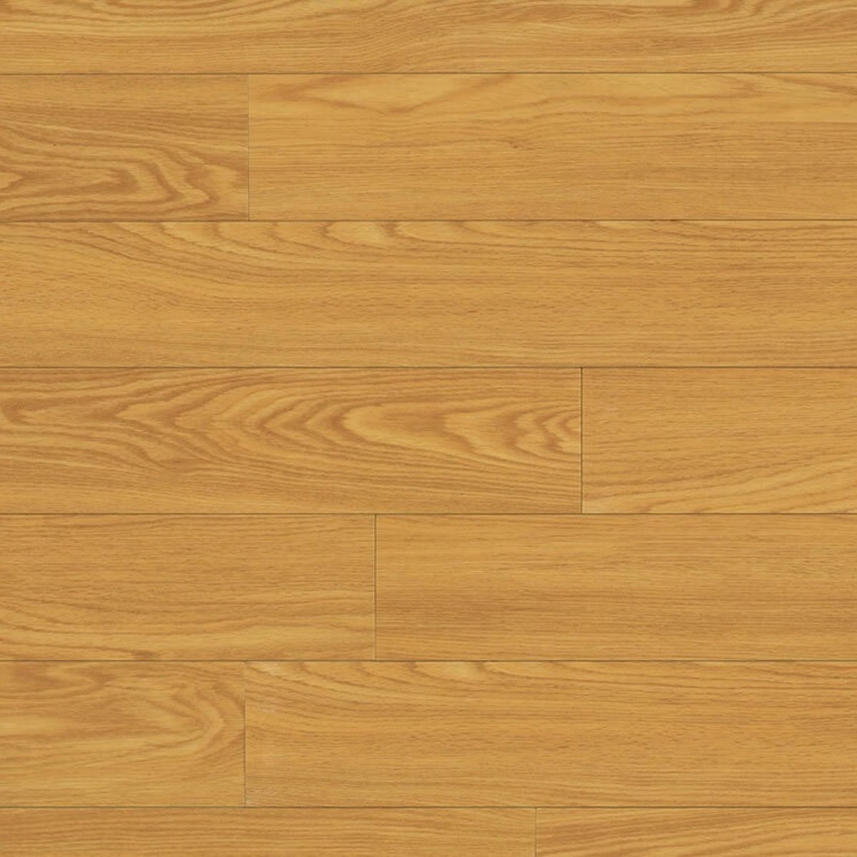 Rocky Mountain Oak