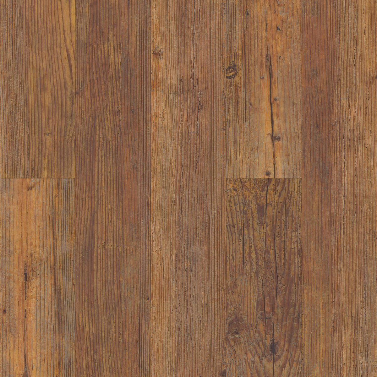 Carolina Pine