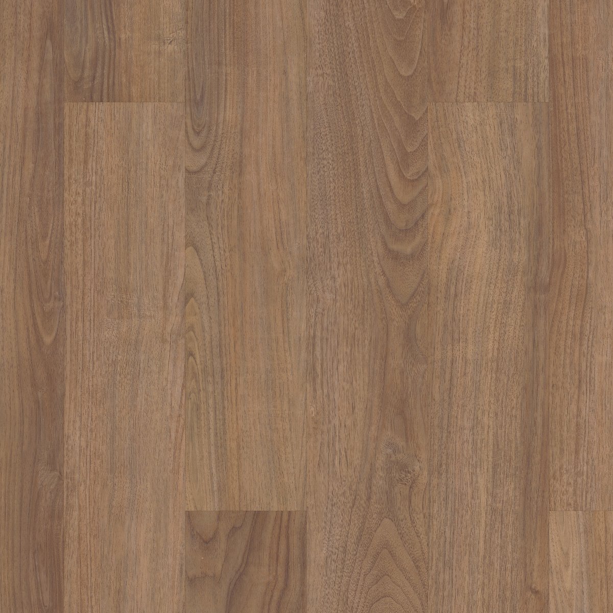 Dakota Walnut