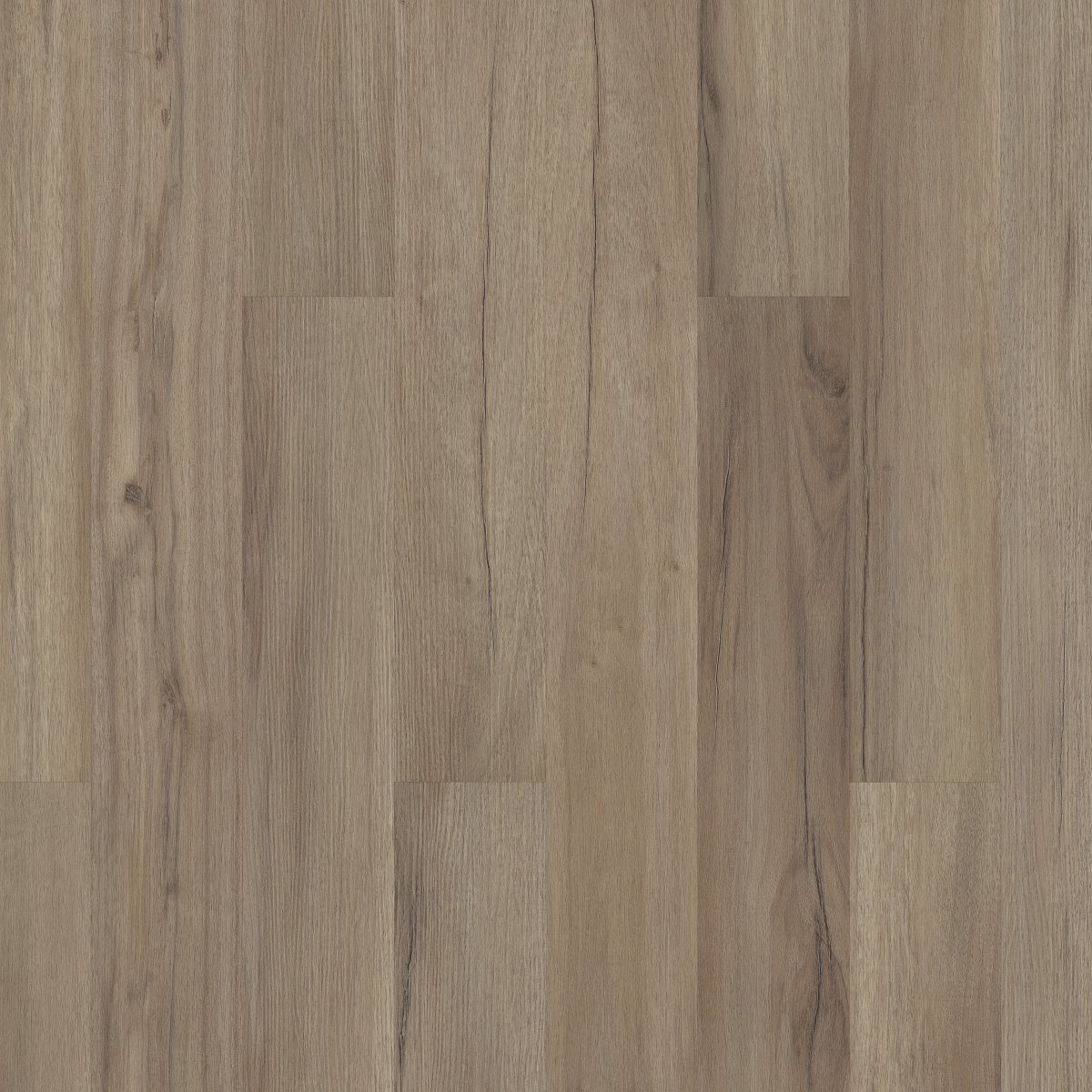 Baywood Oak