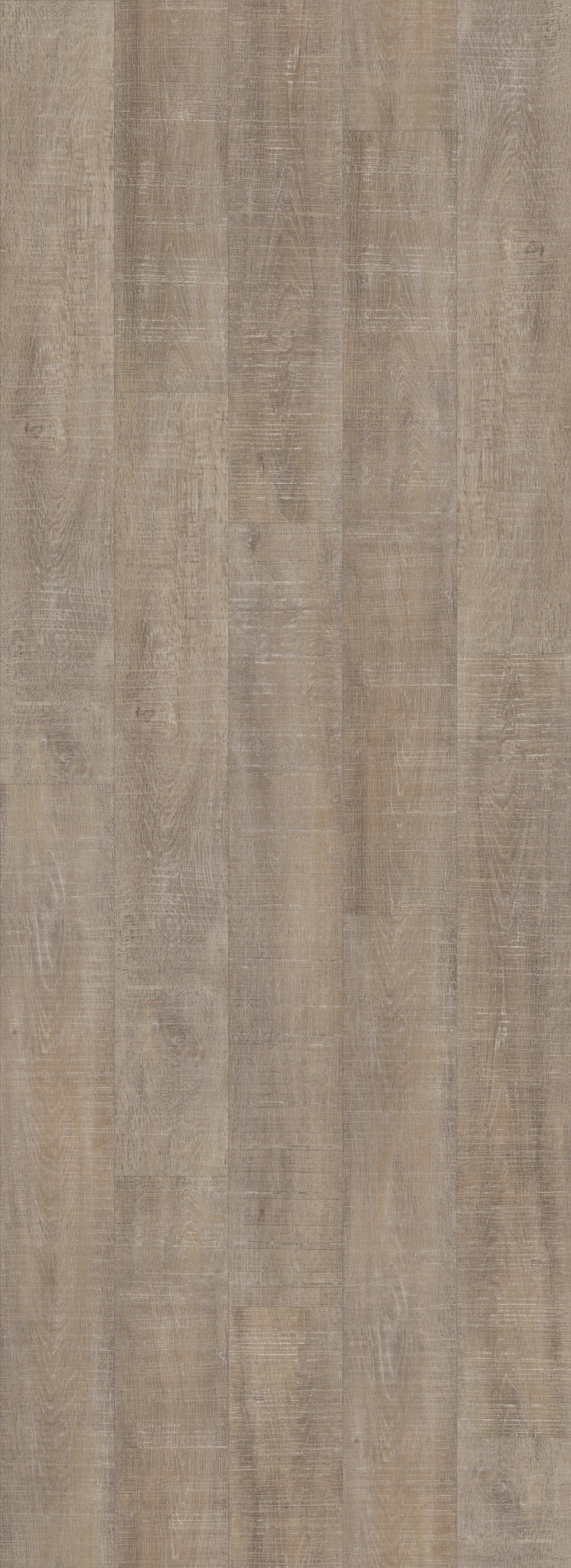 Nantucket Oak