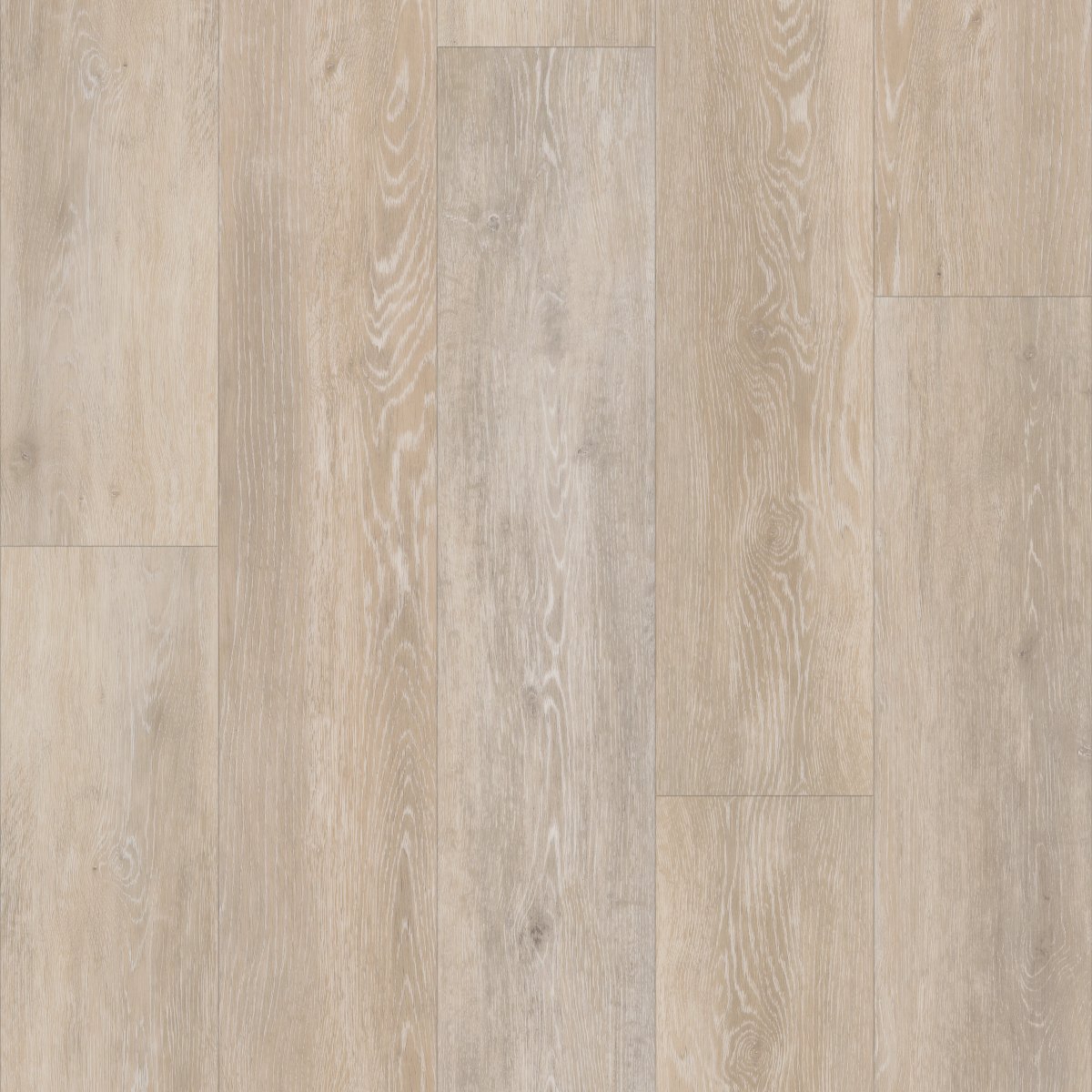 Ivory Coast Oak