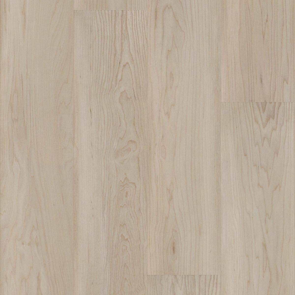 Sandstone Maple