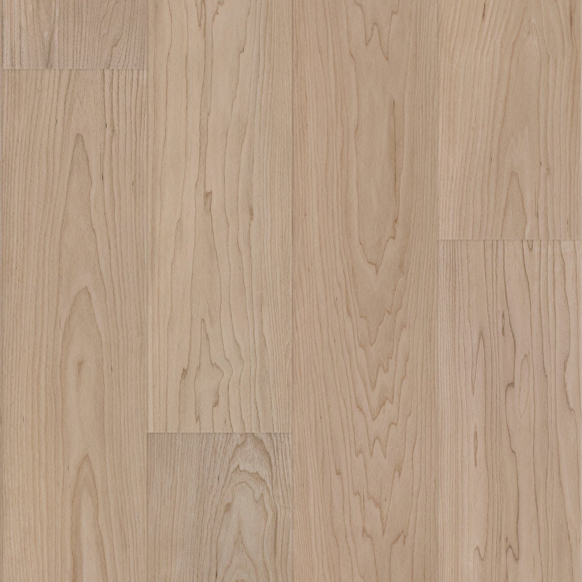 Vanilla Grove Maple