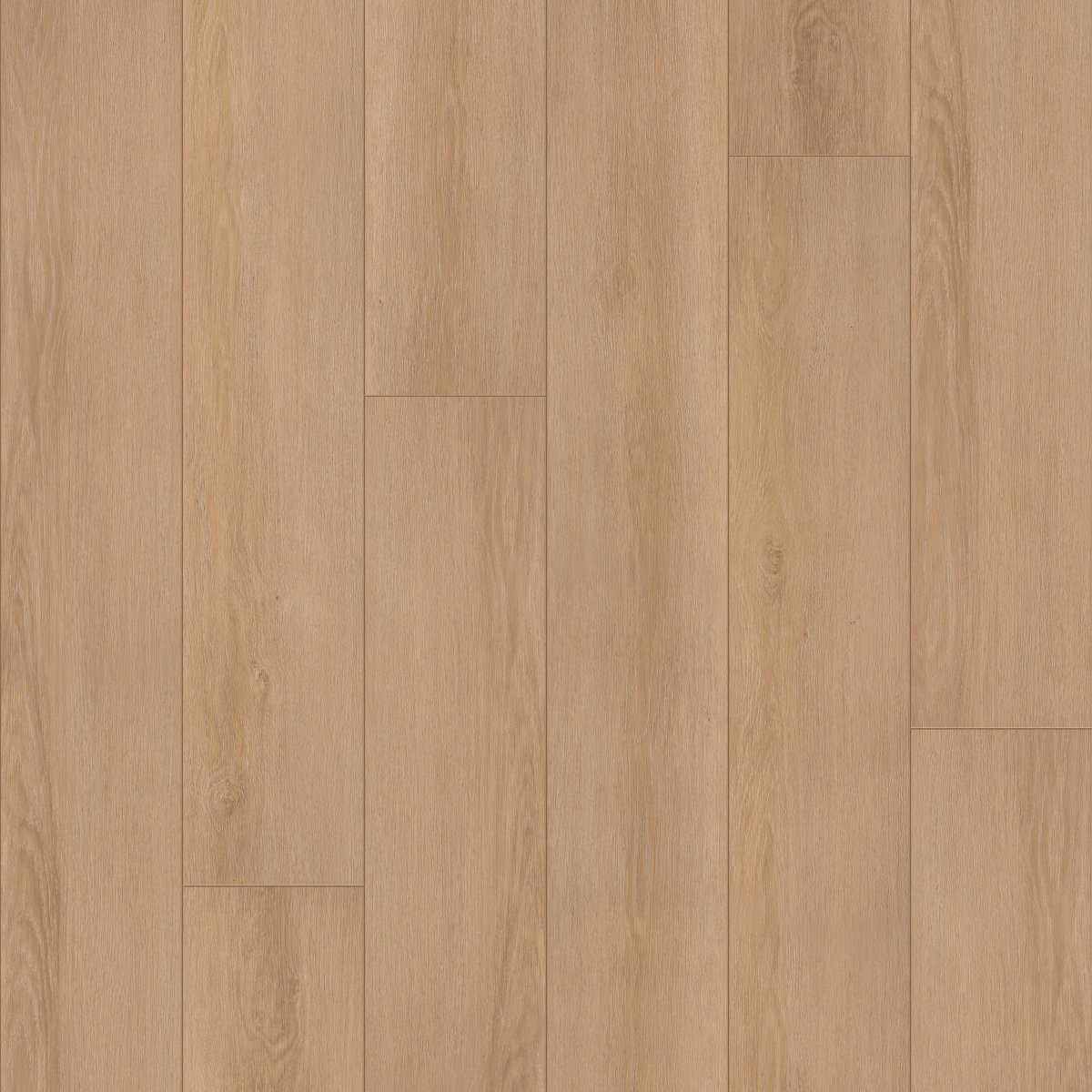 Honey Bronze Oak