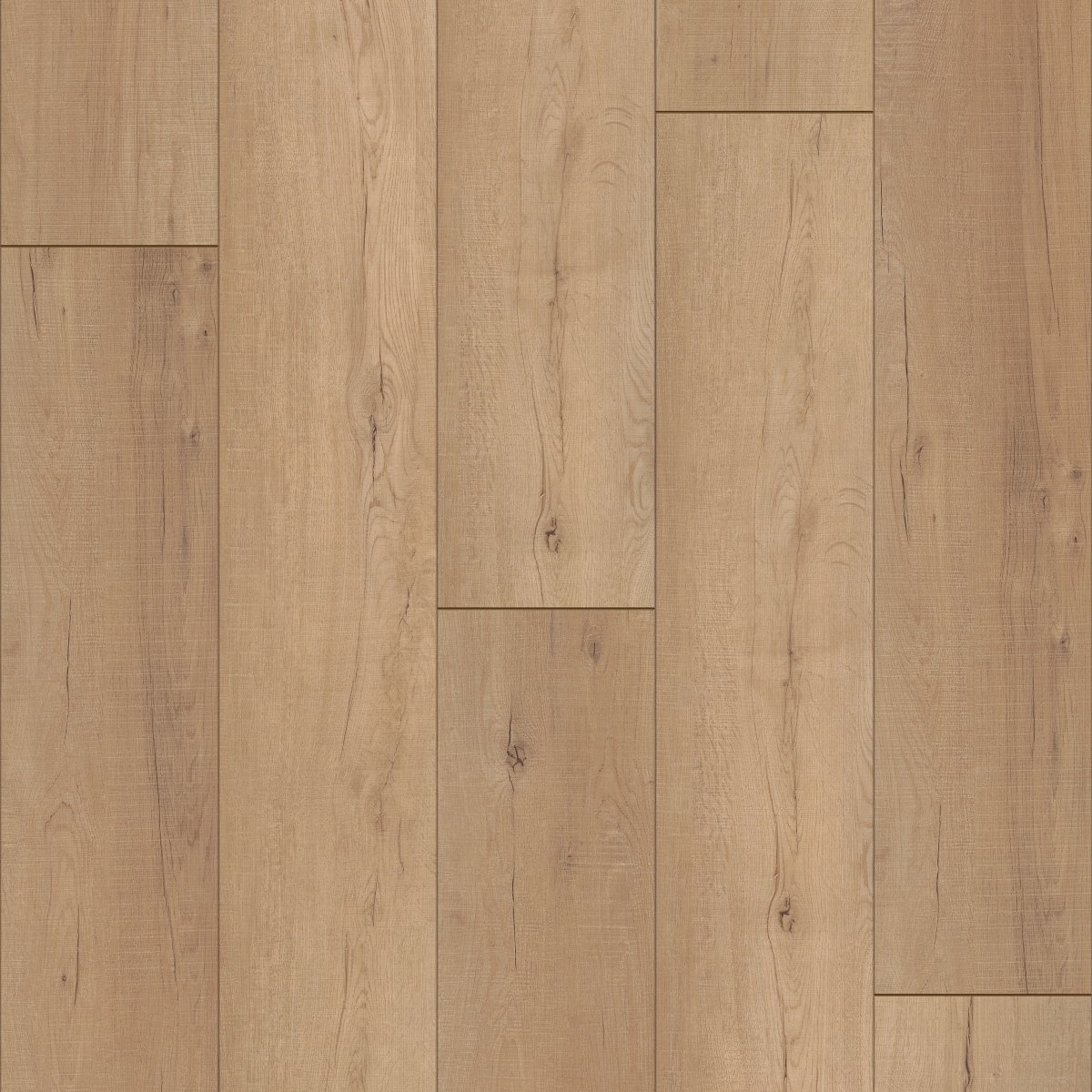 Calypso Oak