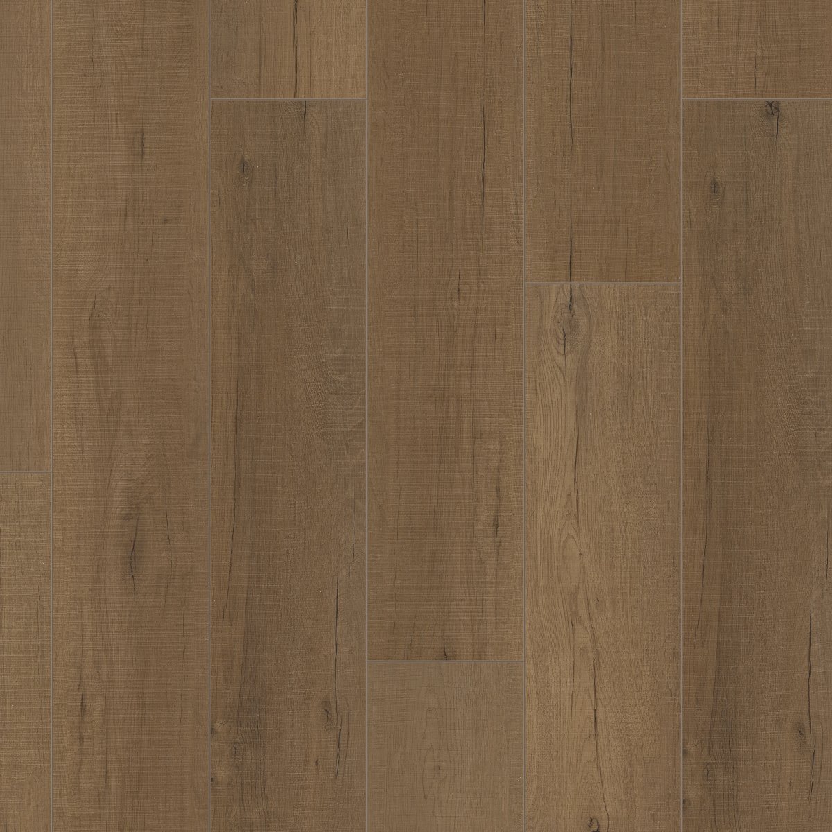 Bay Oak