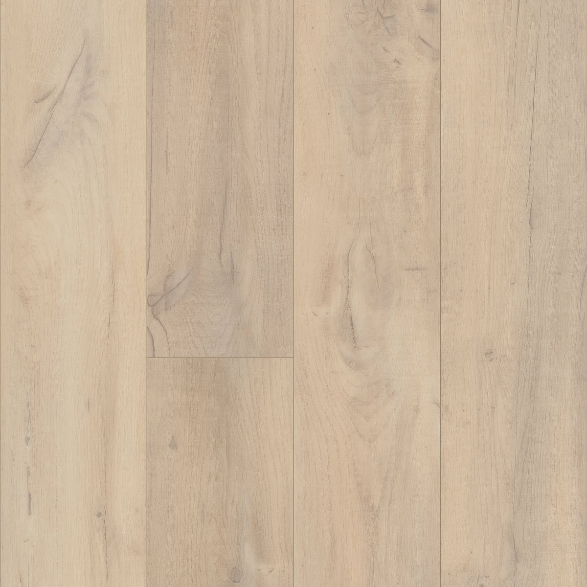 Noble Oak