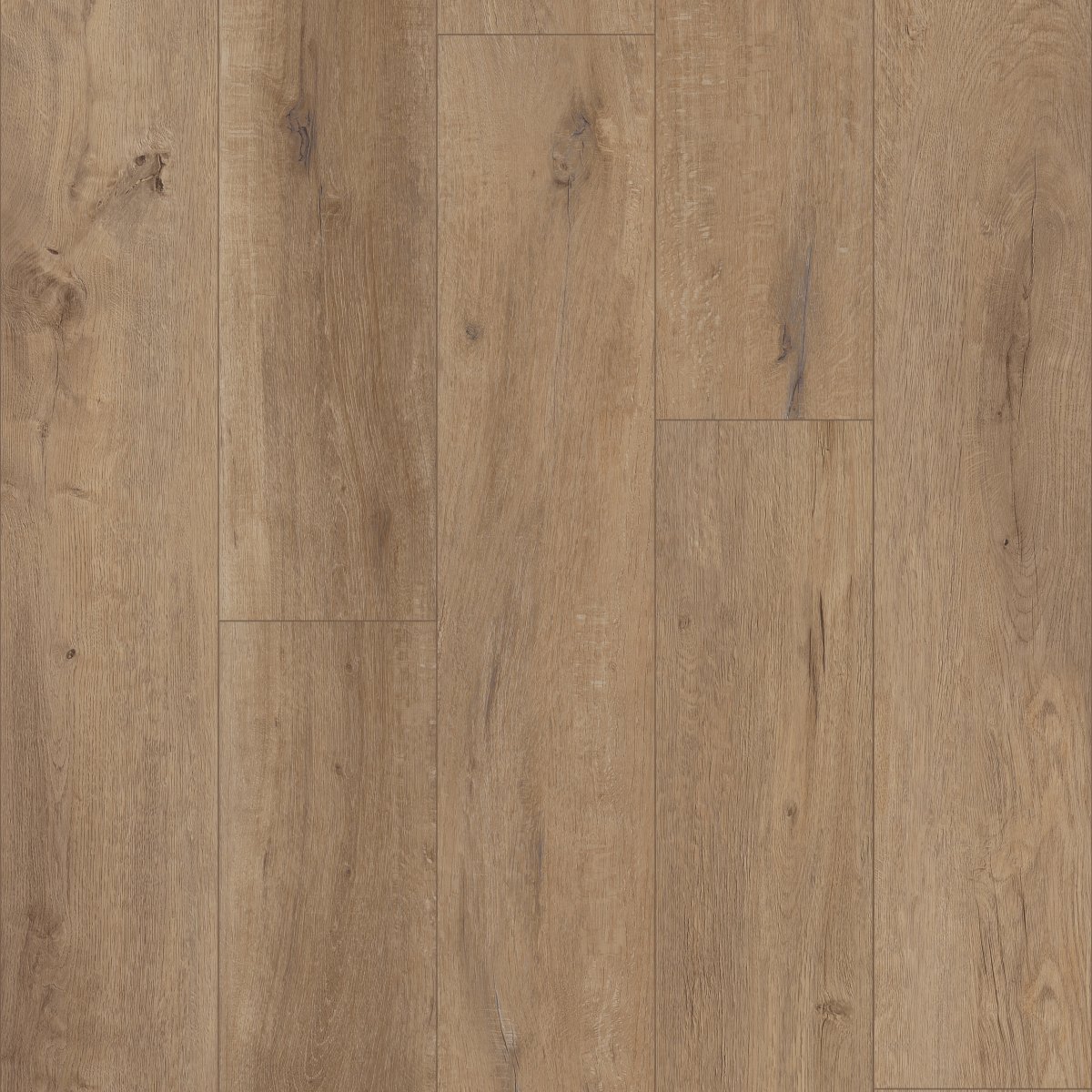 Grande Goldin Oak