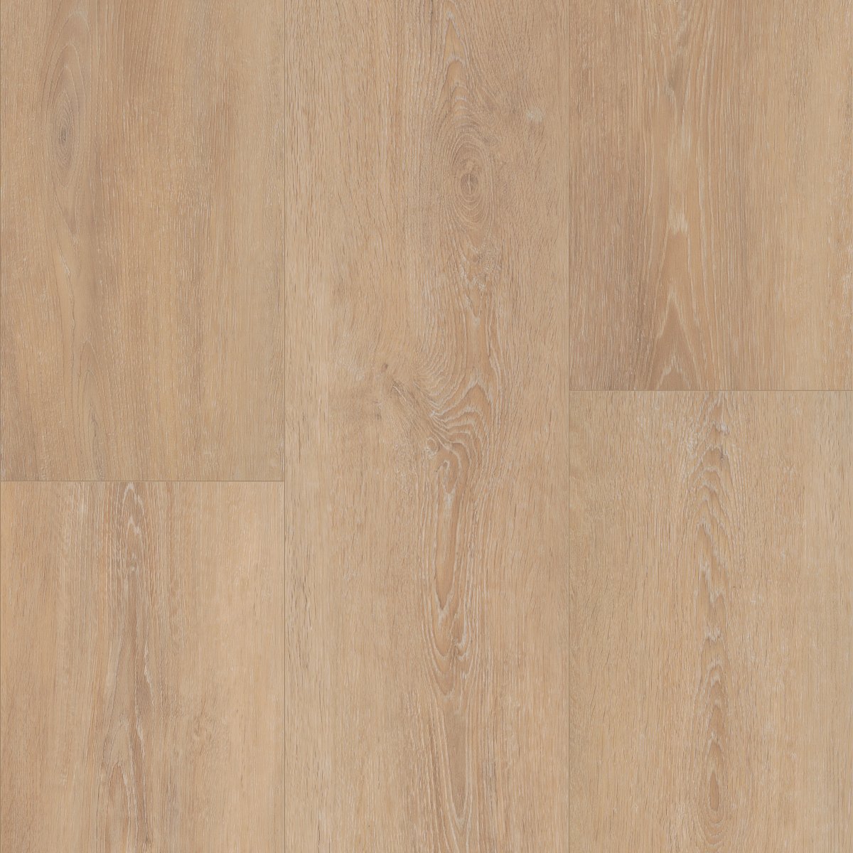 Grande Lotte Oak