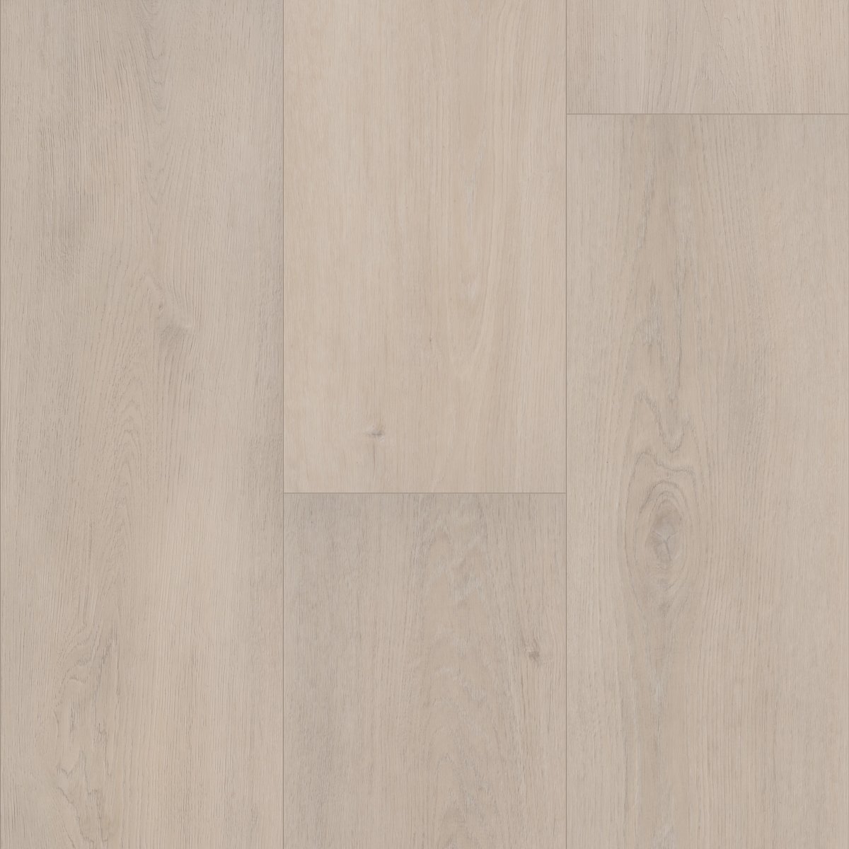 Grande Empire Oak