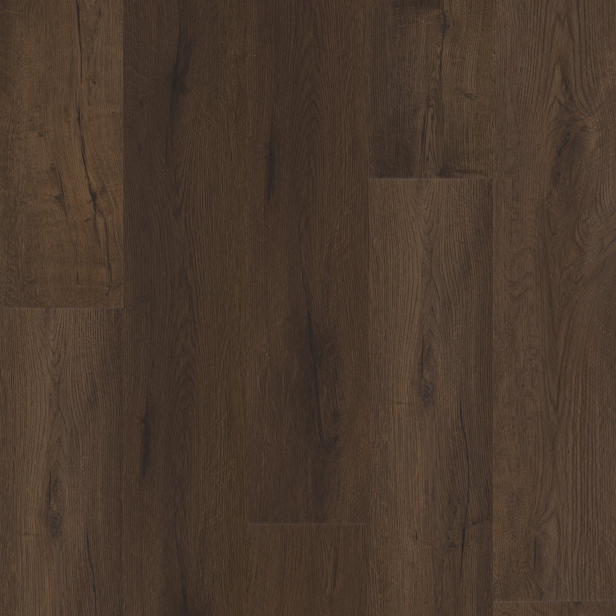 Midnight Oak