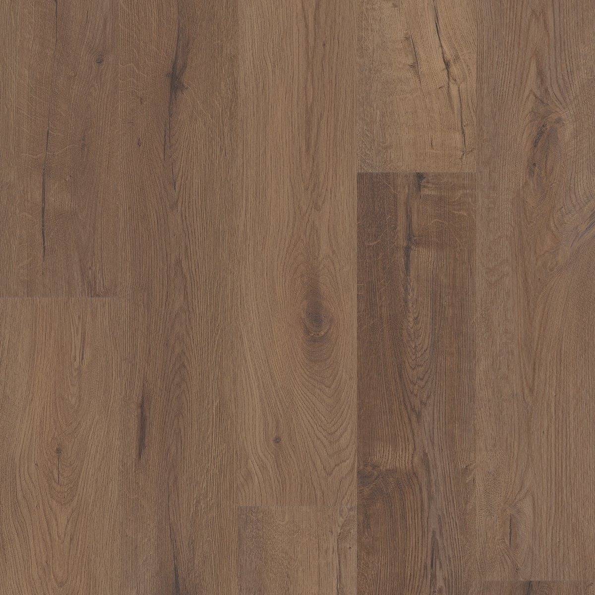 Cerith Oak