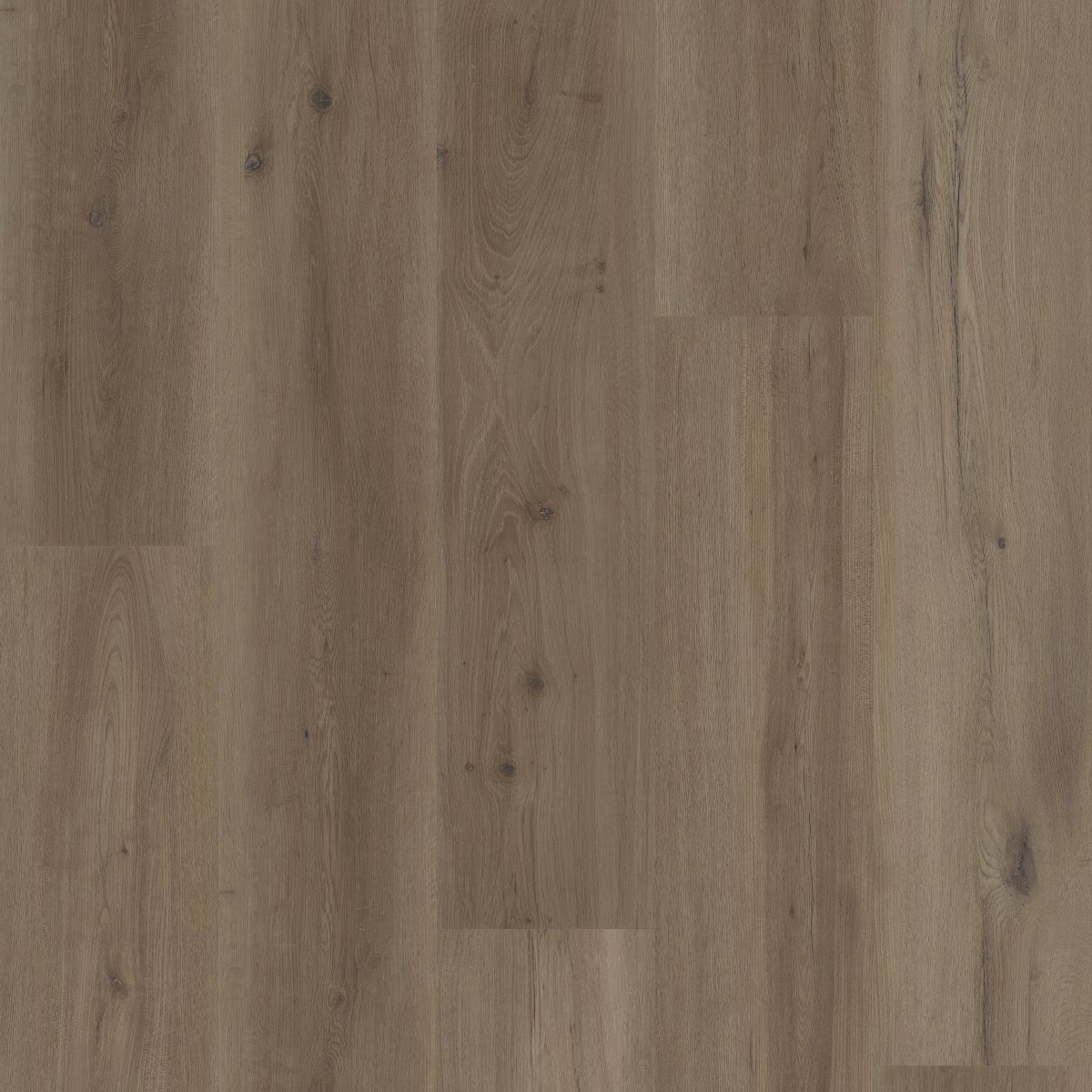 Mist Oak