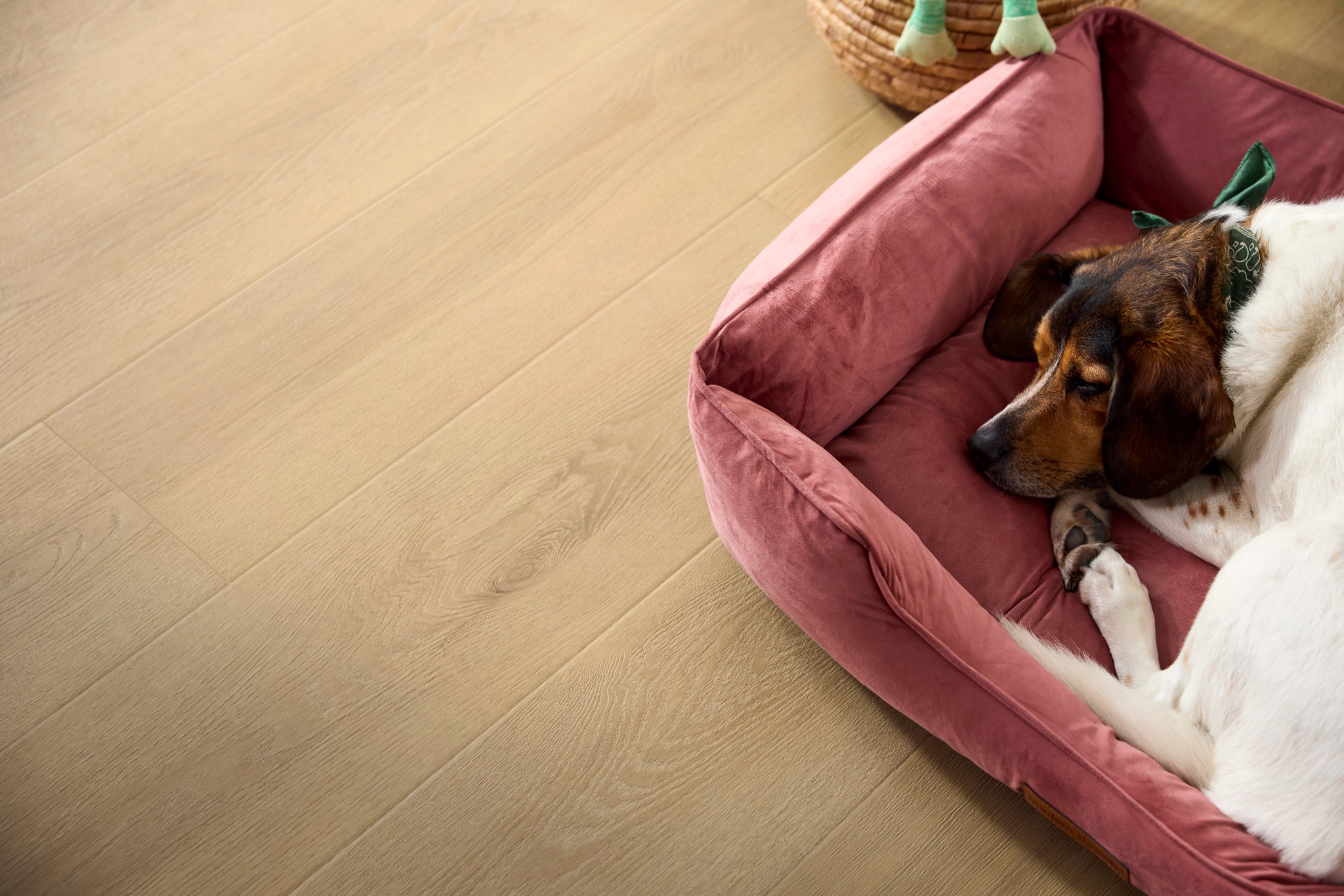 Premium Laminate