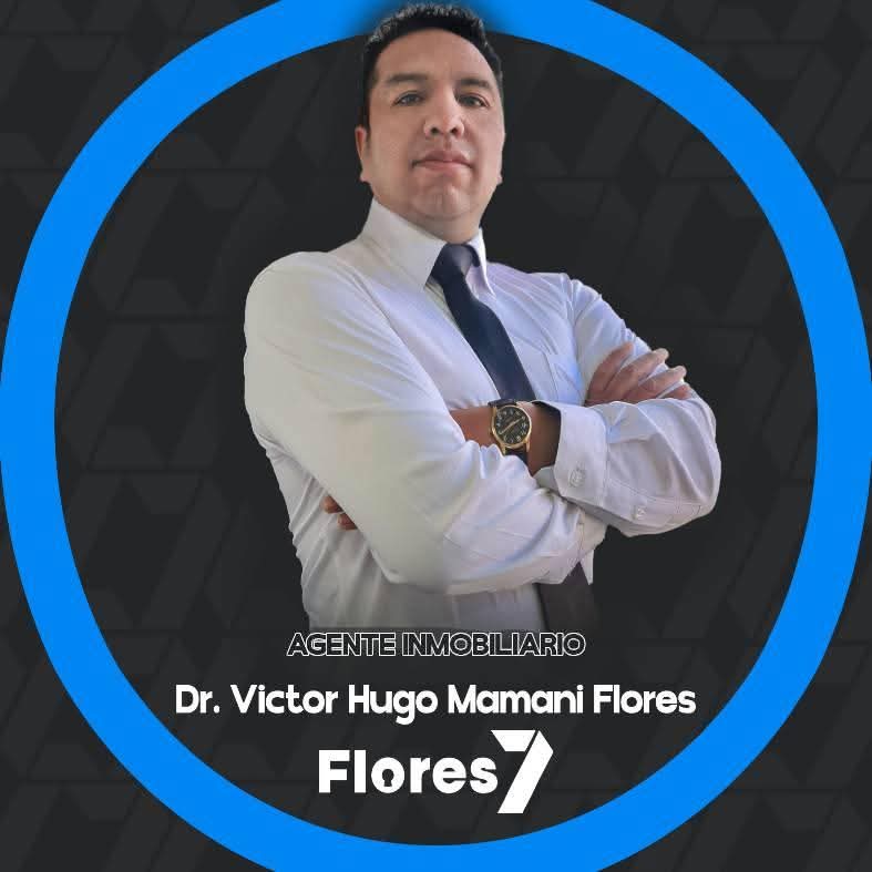 Victor Hugo Mamani Flores