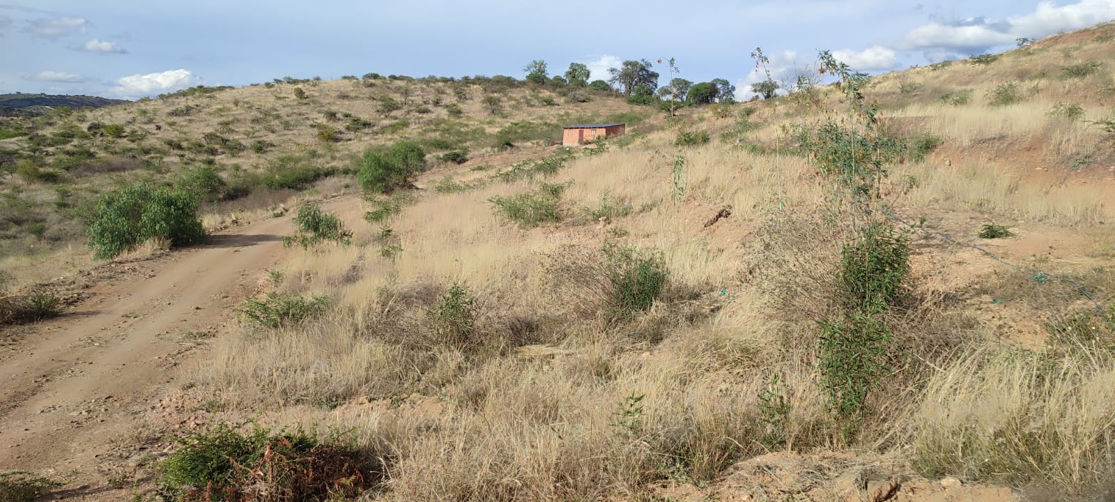 Lote en YOTALA - Sucre