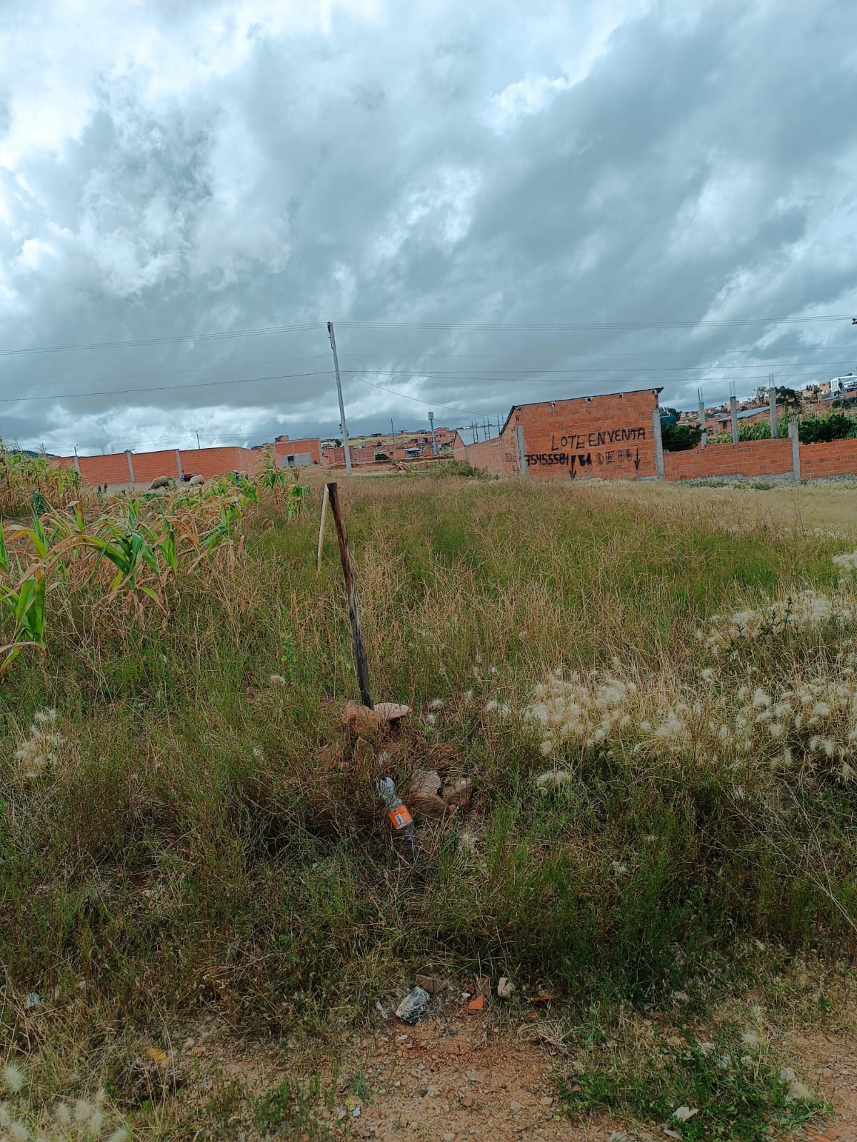 Lote en NUEVO MERCADO ABASTO - Sucre