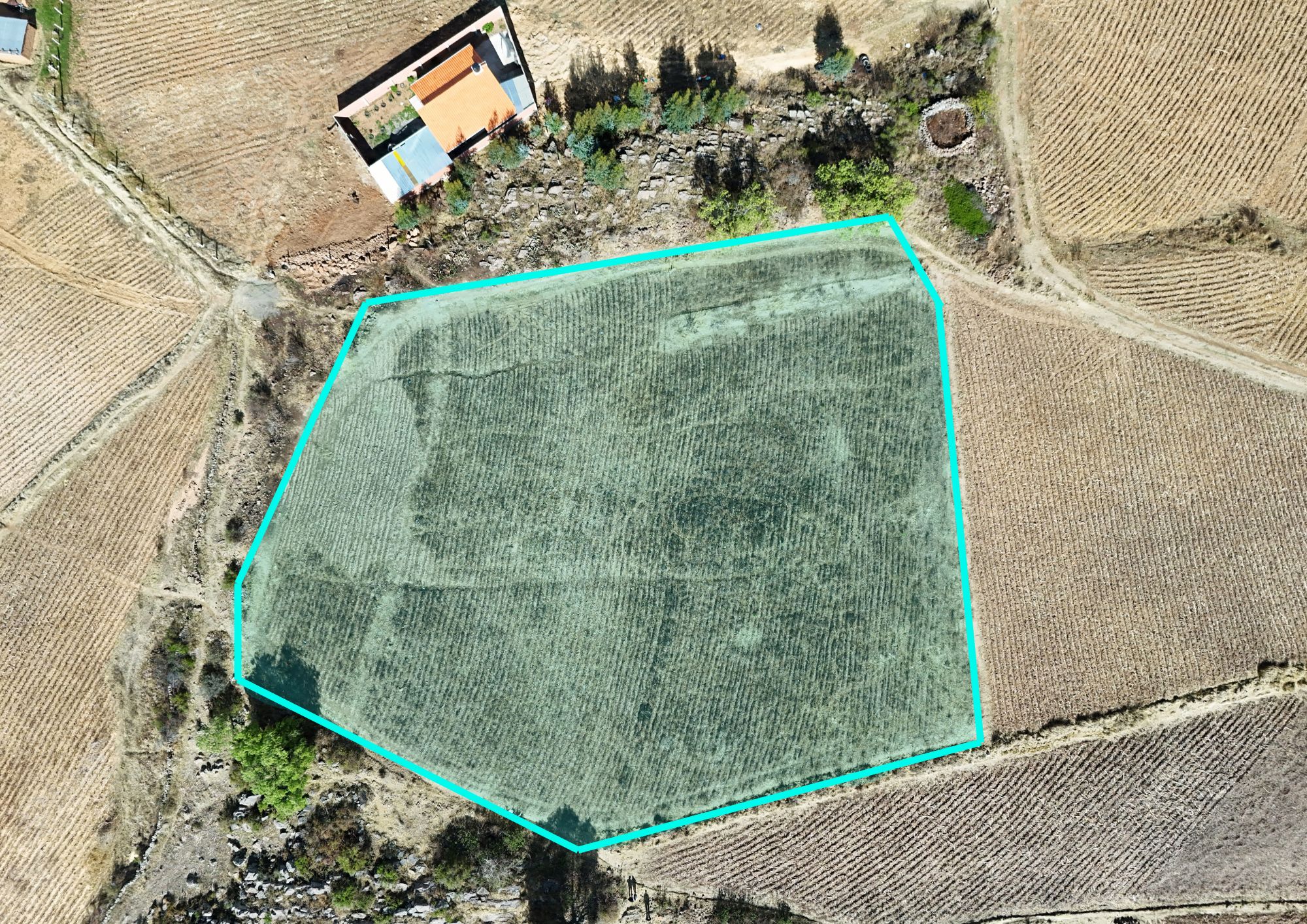 Lote en SONQ'O CHIPA - Sucre