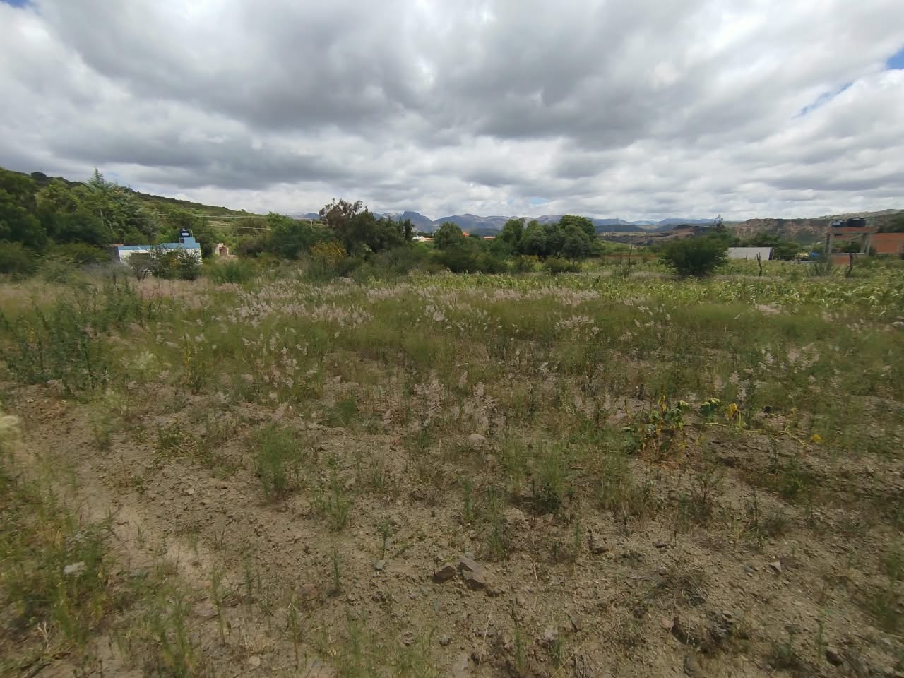 Lote en YOTALA - Sucre