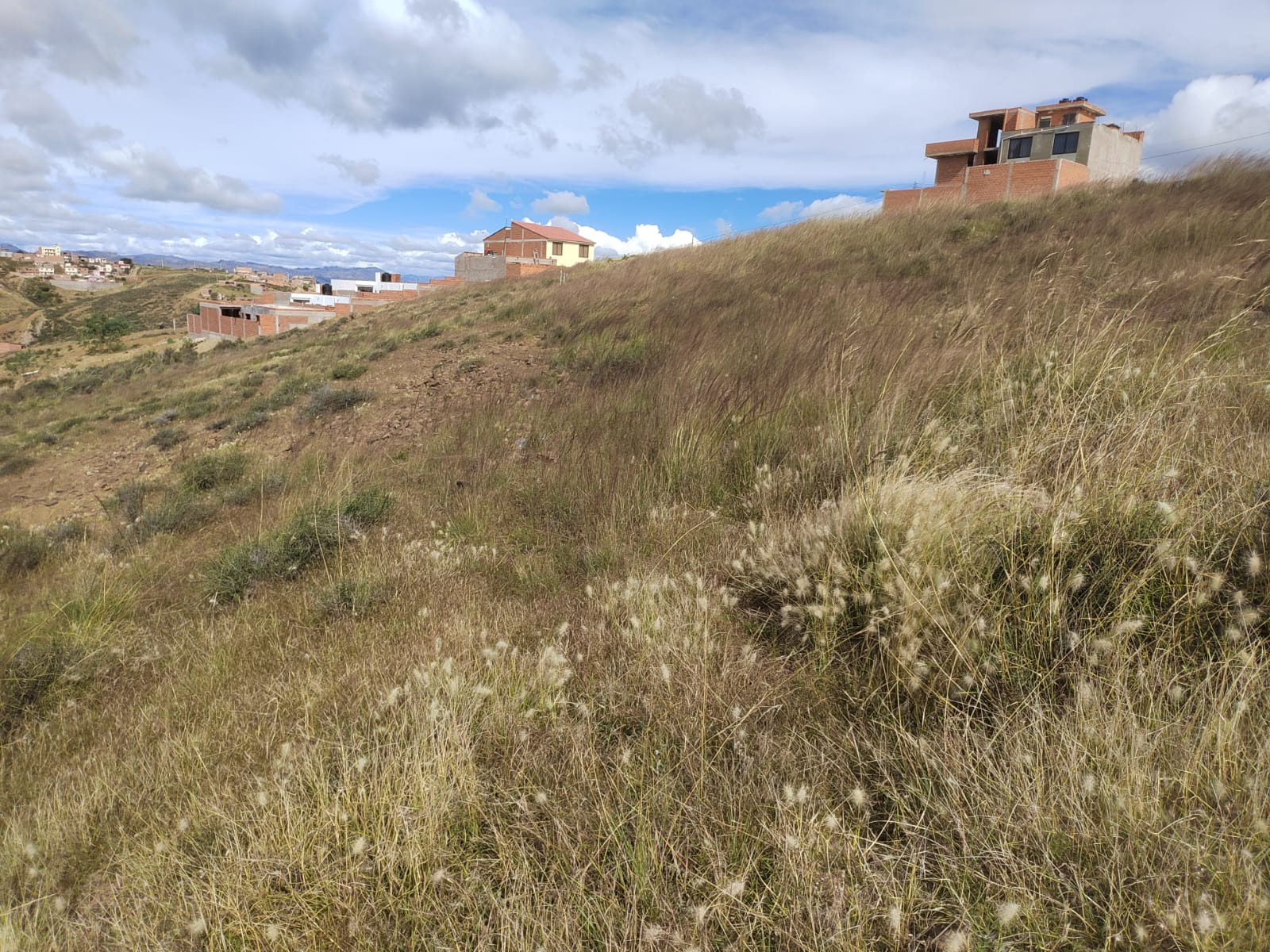 Lote en ENDE - Sucre