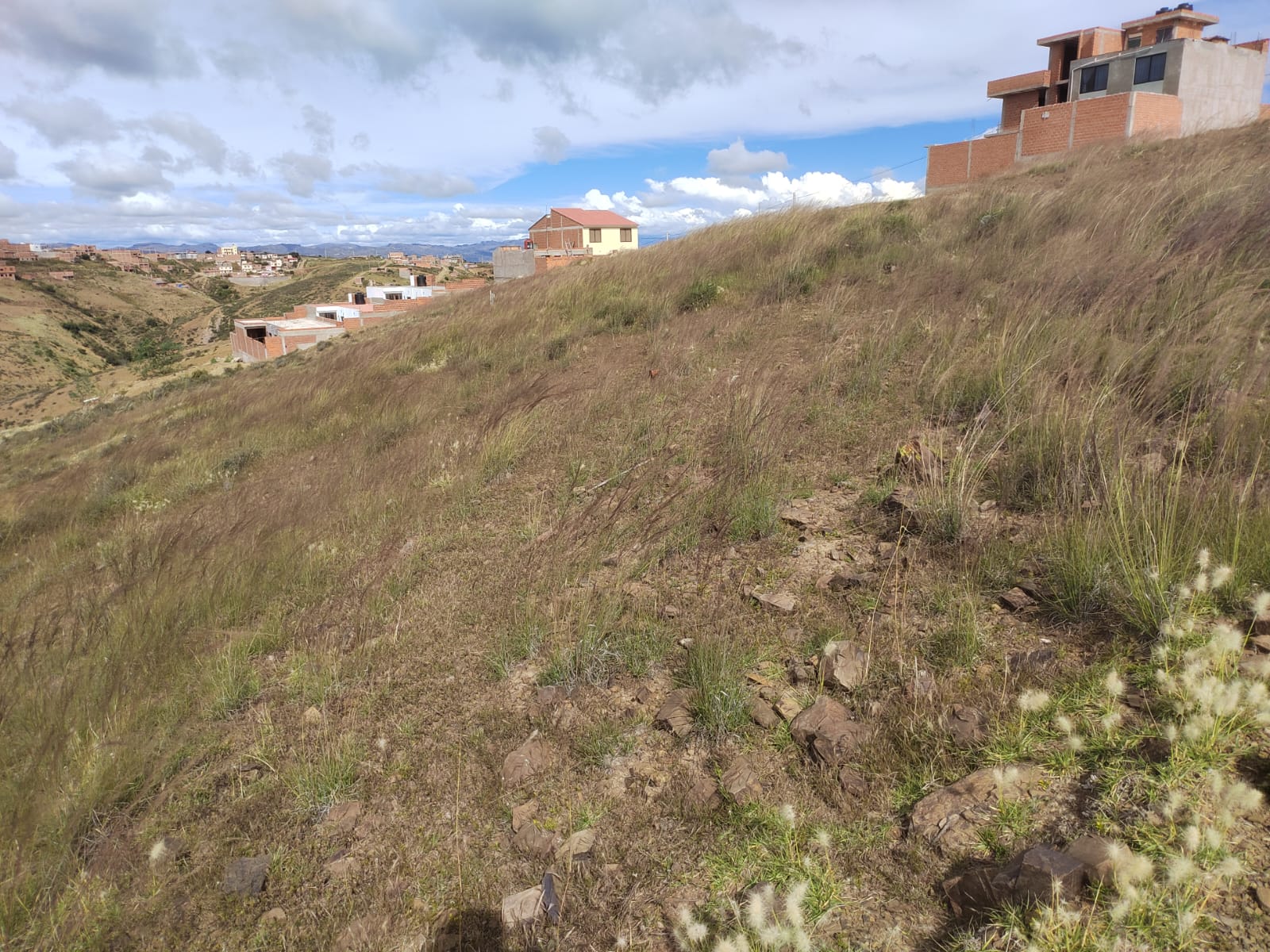 Lote en ENDE - Sucre
