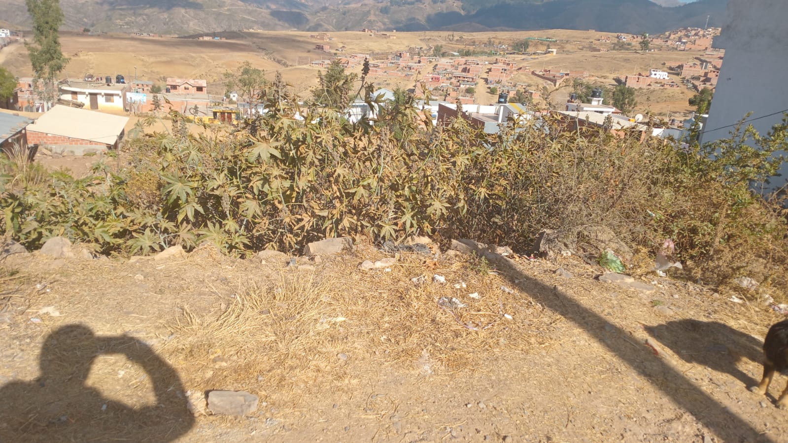 Lote en EL ROSEDAL - Sucre