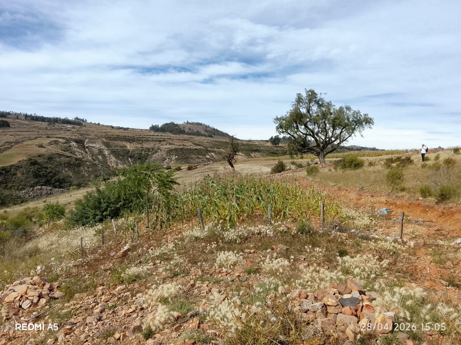 Lote en KHUCHO TAMBO - Sucre