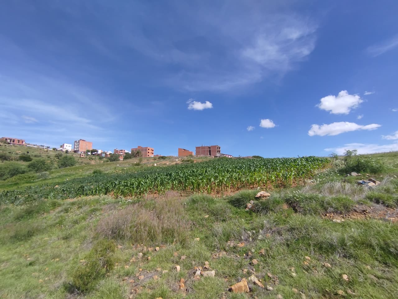 Lote en ALEGRIA - Sucre