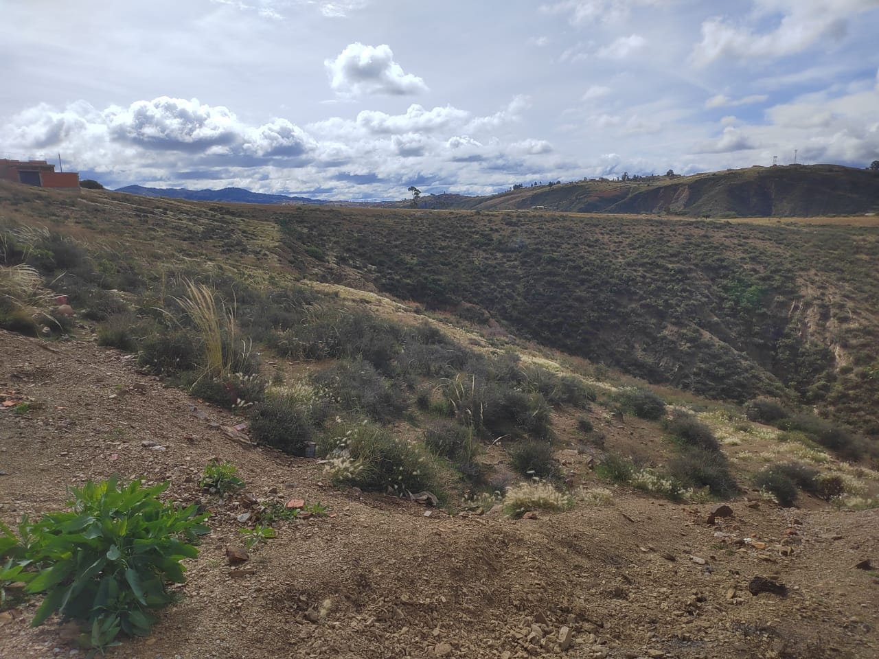 Lote en ENDE - Sucre