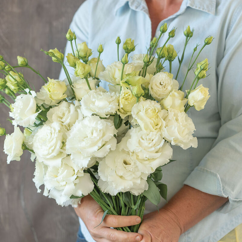 Lisianthus