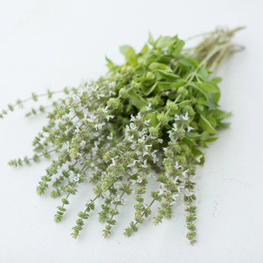 Basil