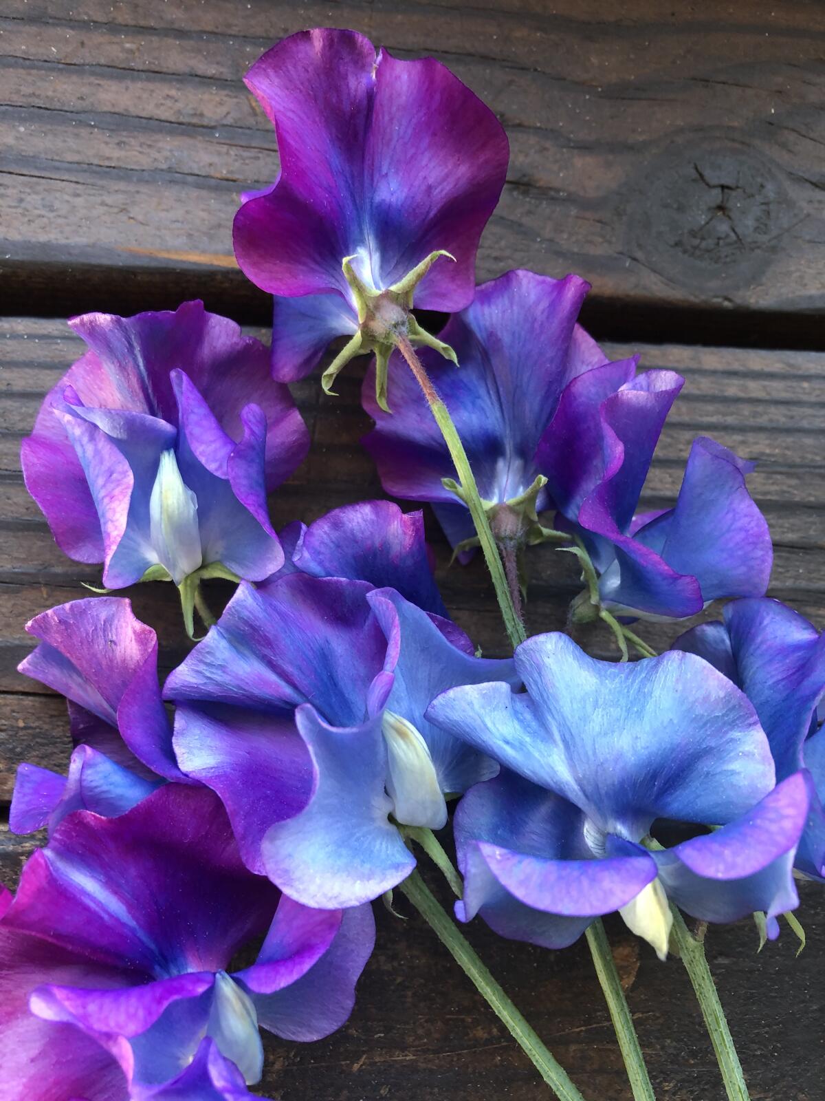 Blue Shift