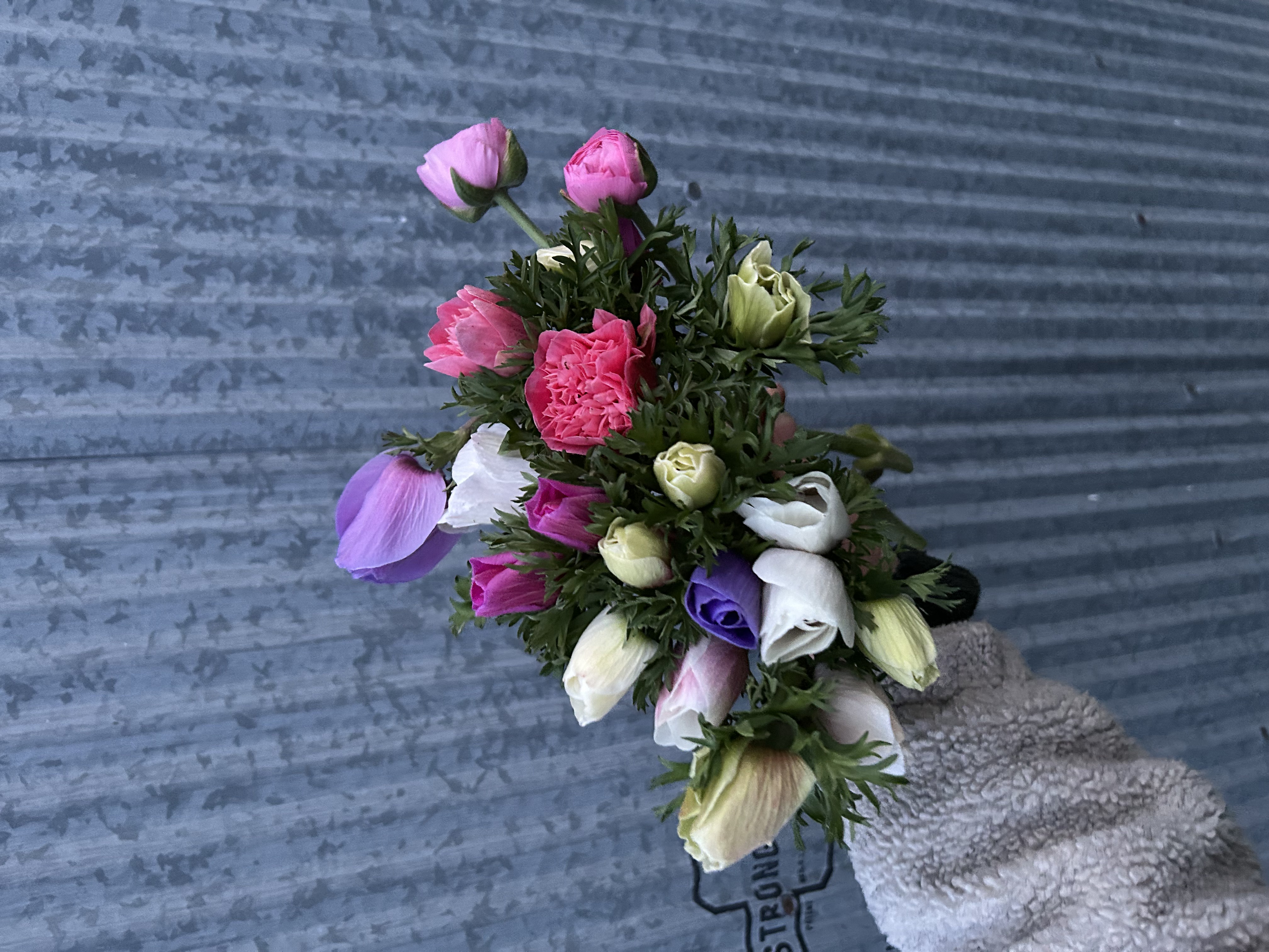 Anemone Mix