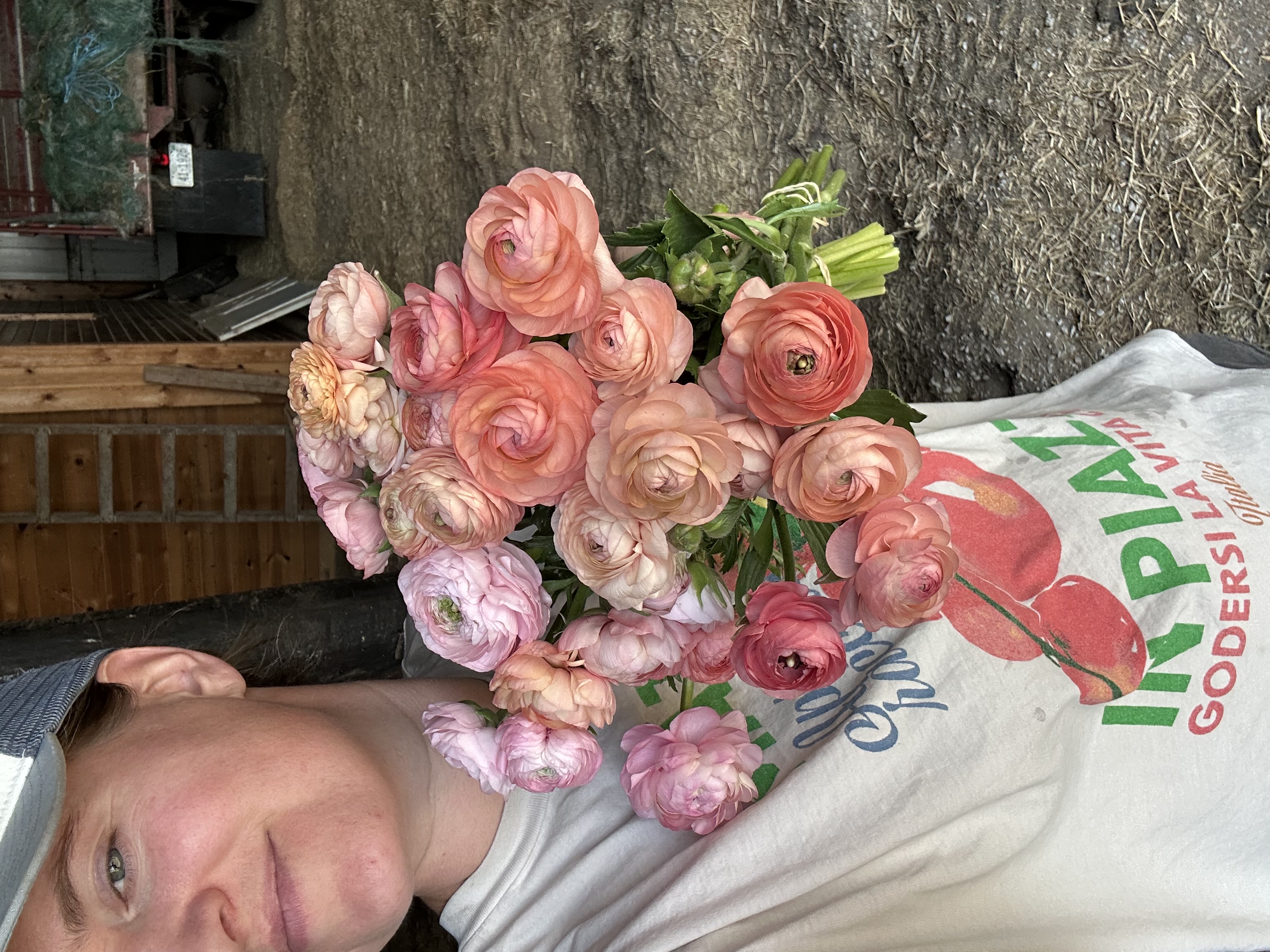 Ranunculus