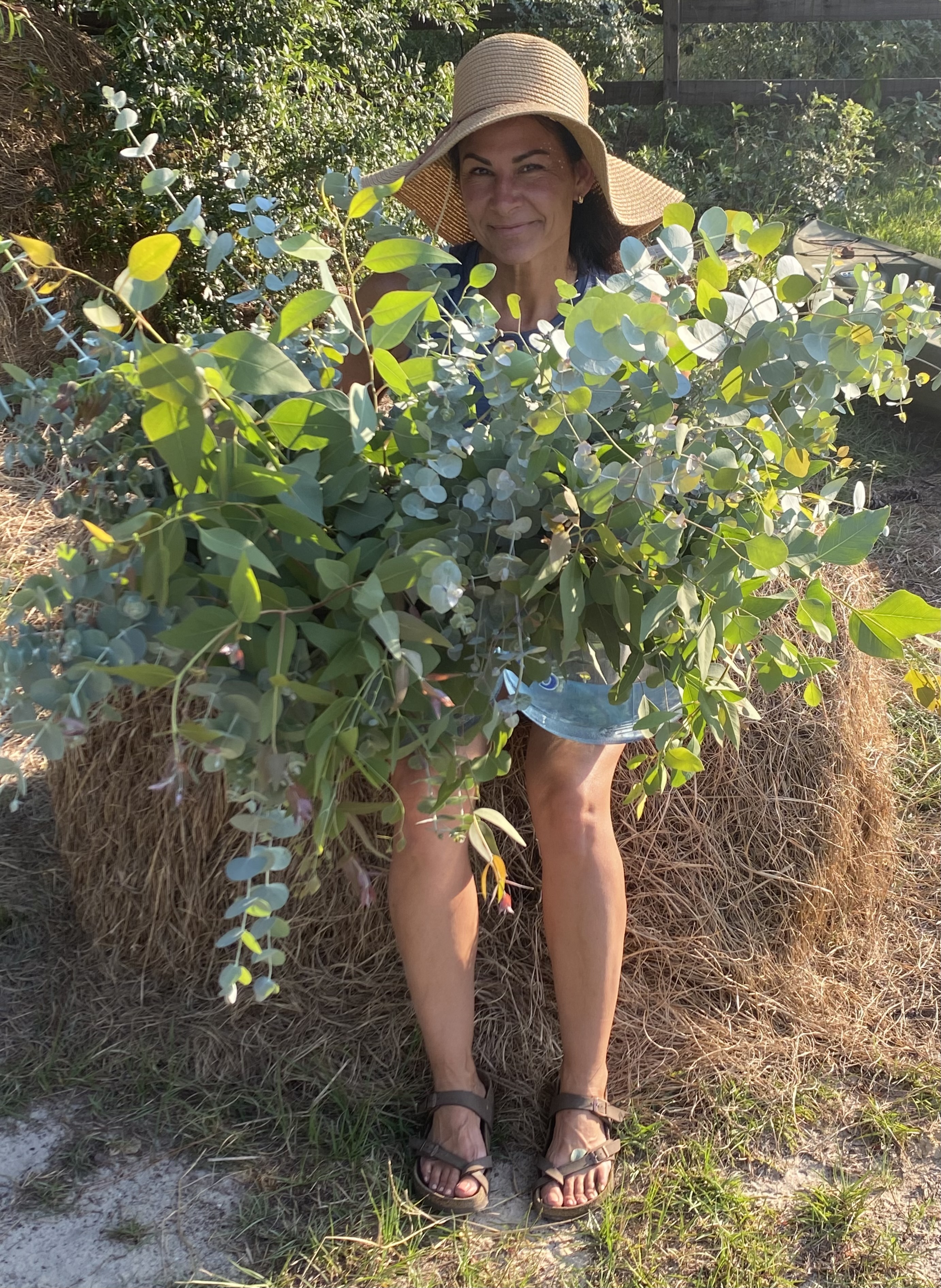 Eucalyptus