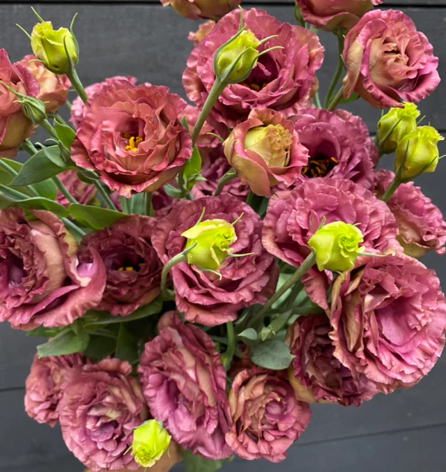 Lisianthus