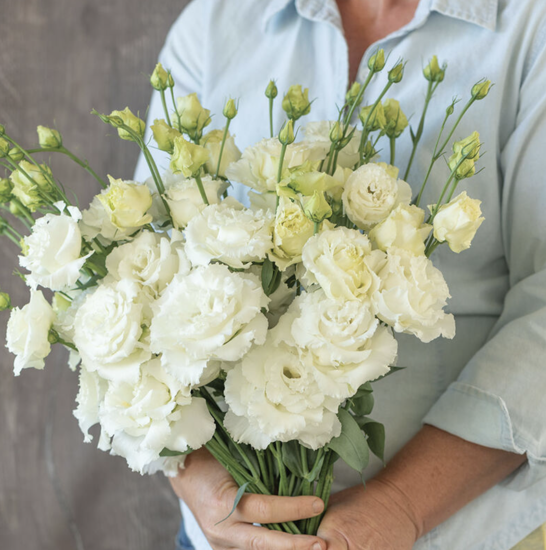 Lisianthus