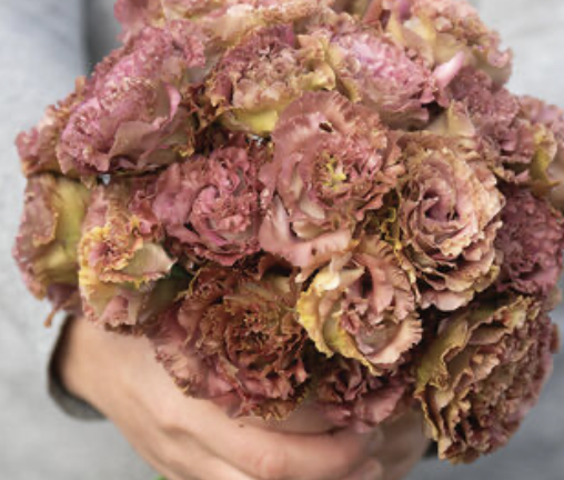 Lisianthus